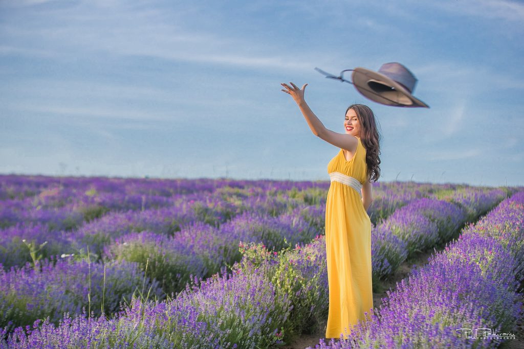 Sedinta foto lavanda Iasi