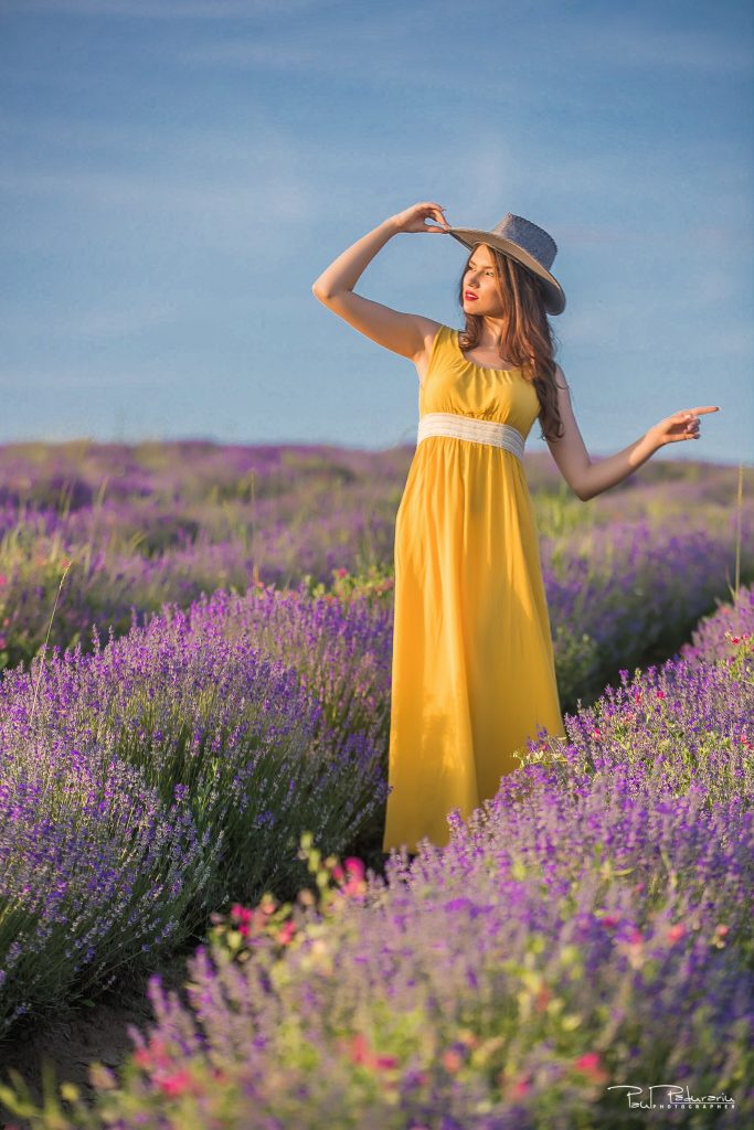 Sedinta foto lavanda Iasi