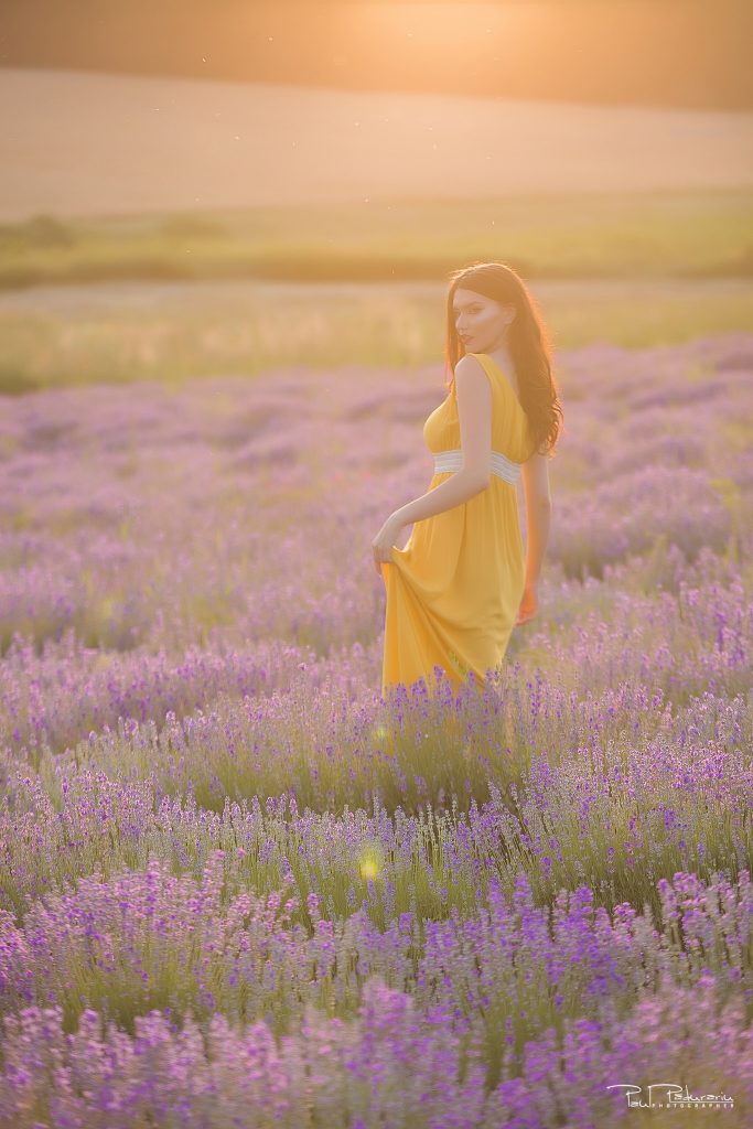Sedinta foto lavanda Iasi