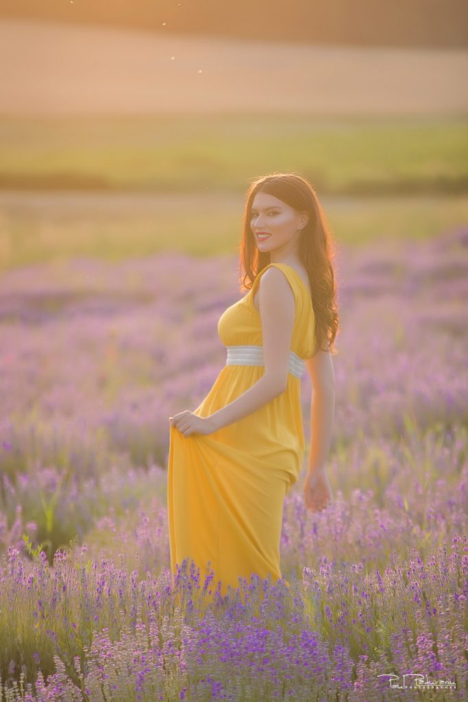 Sedinta foto lavanda Iasi