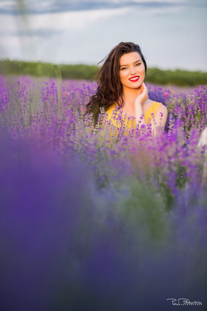 Sedinta foto lavanda Iasi