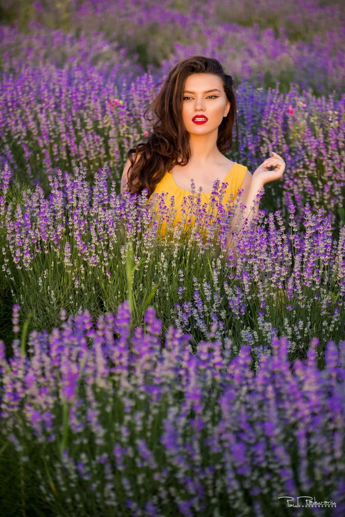 Sedinta foto lavanda Iasi