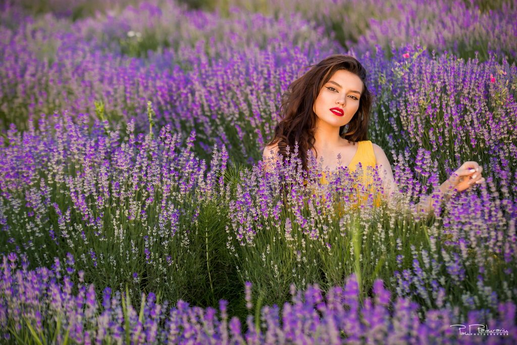 Sedinta foto lavanda Iasi