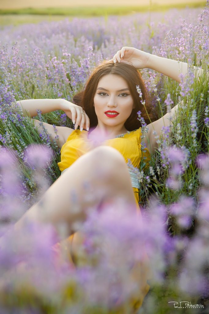 Sedinta foto lavanda Iasi