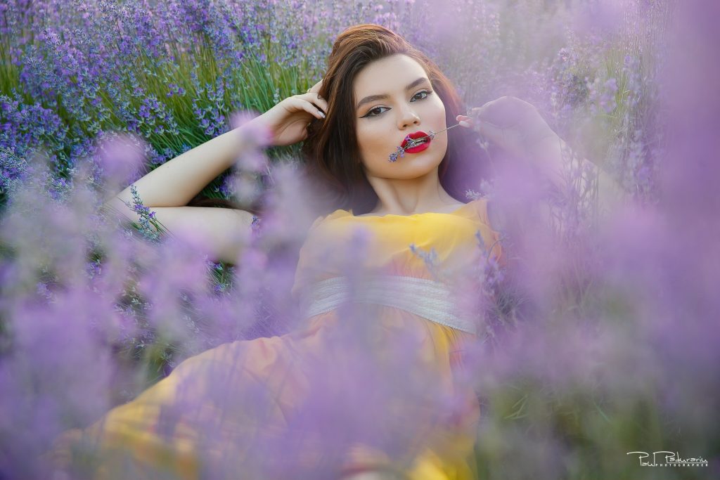 Sedinta foto lavanda Iasi