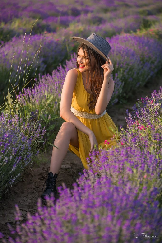 Sedinta foto lavanda Iasi